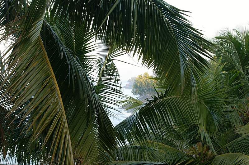 Varkala_012